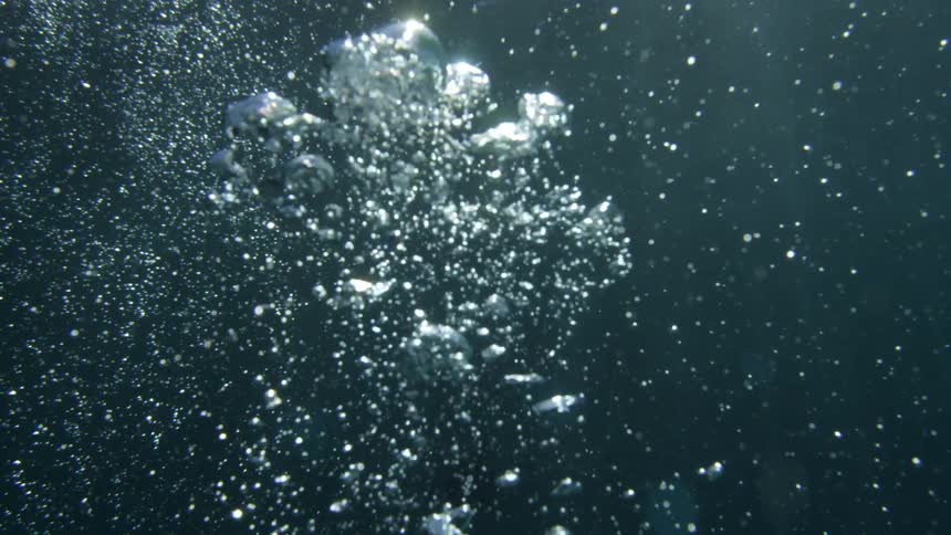A under water view is displayed