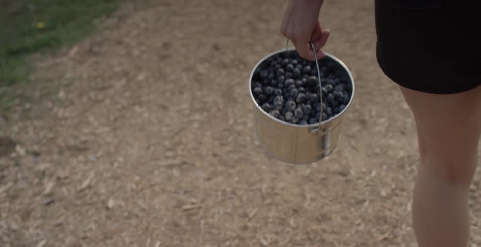A person walking with a bucket of blueberries