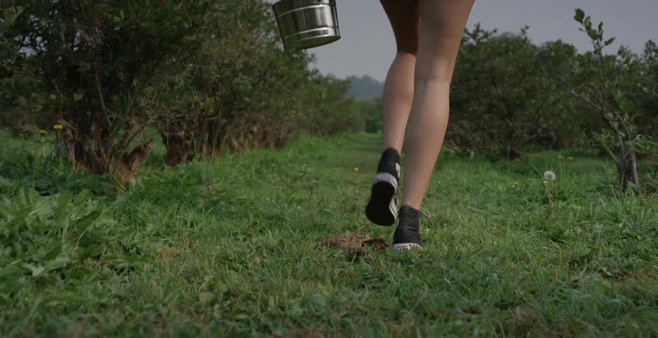 Woman with black converse shoes and shorts walks happily in a cherry orchard