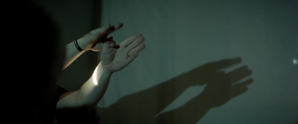A man makes shadow puppets on the projector screen