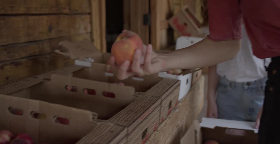 A woman reaches for a peach and places it in her handheld shopping basket
