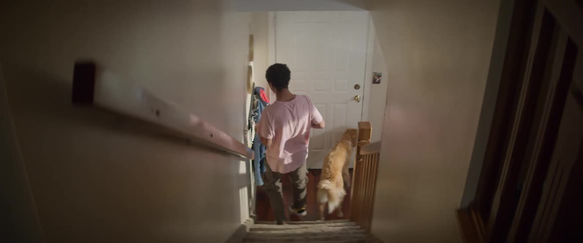 A man walks his dog down a staircase and puts a medical mask over his face