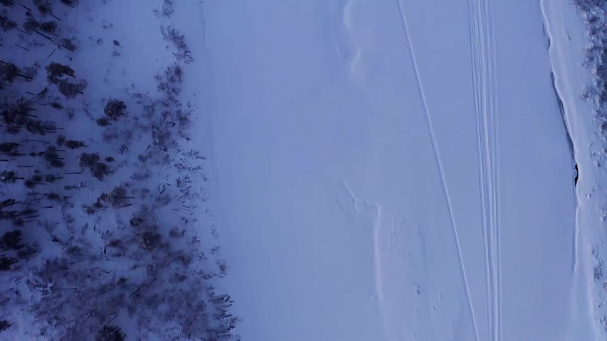 Snow covers forest and wide clearing marred by parallel lines
