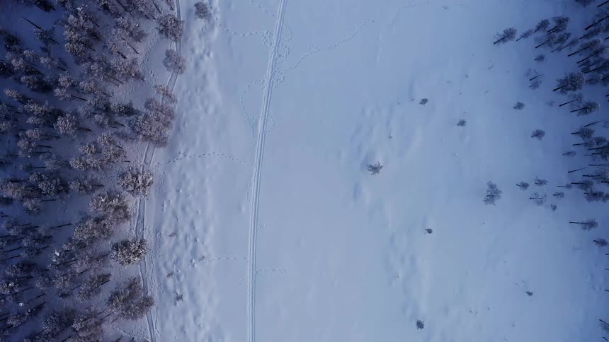 Birds eye view of a snowy field and trees