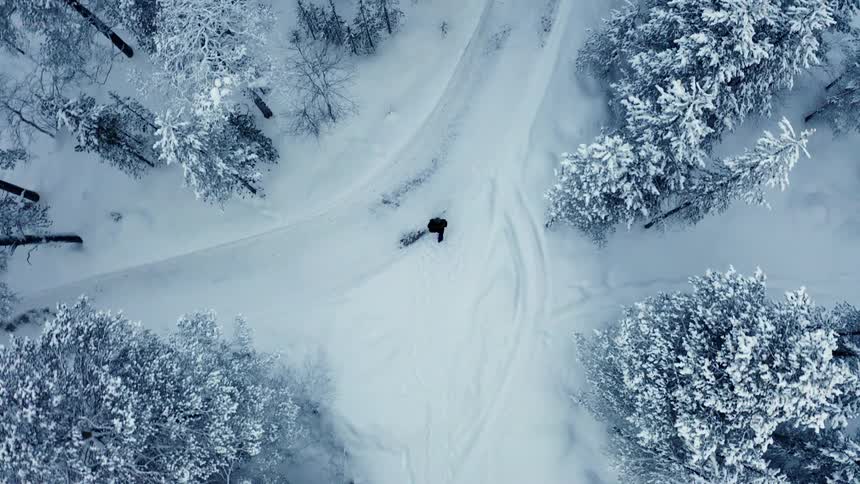 Aerial top down view of a man walking on a snow covered path through a pine tree forest