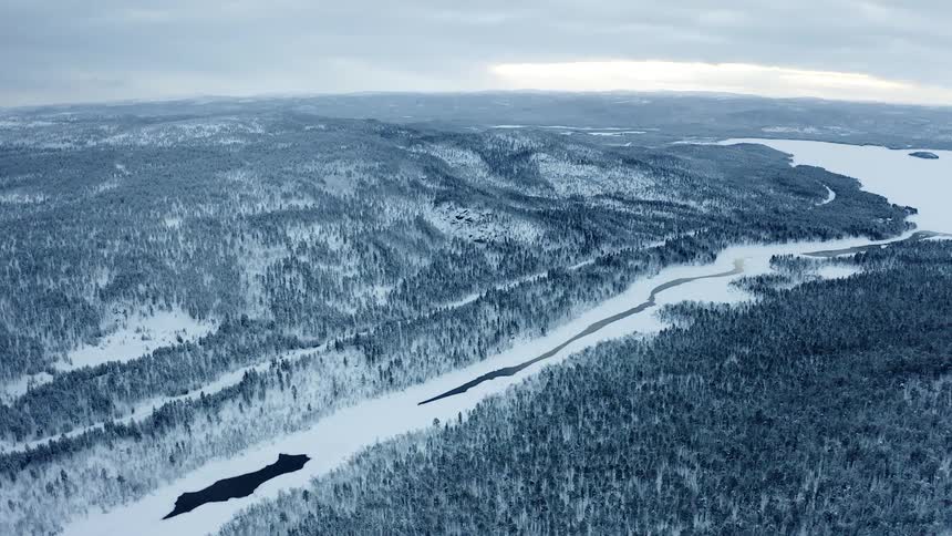 Frozen river between mountains covered in pine trees and snow