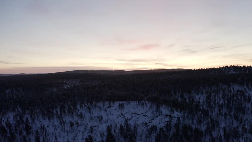 Sun rises over snow covered pine forest