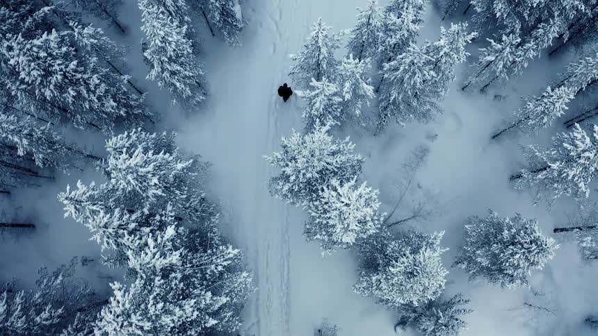 A person walks down a snow covered path in a forest