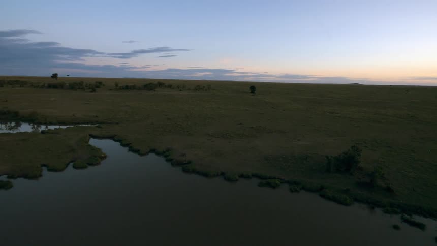 African Savanna