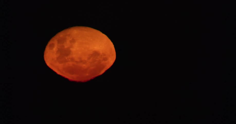The moon in the night sky