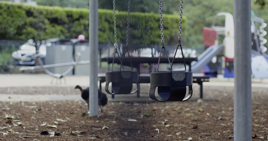 A turkey walking by a swing set in a playground