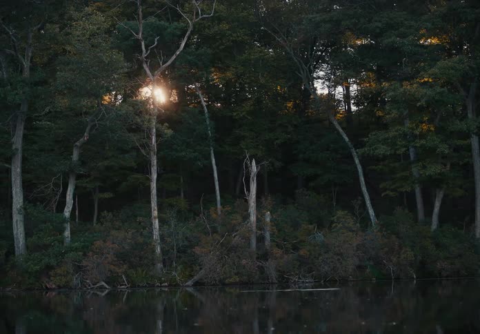 Sunset light filters through the trees next to the river