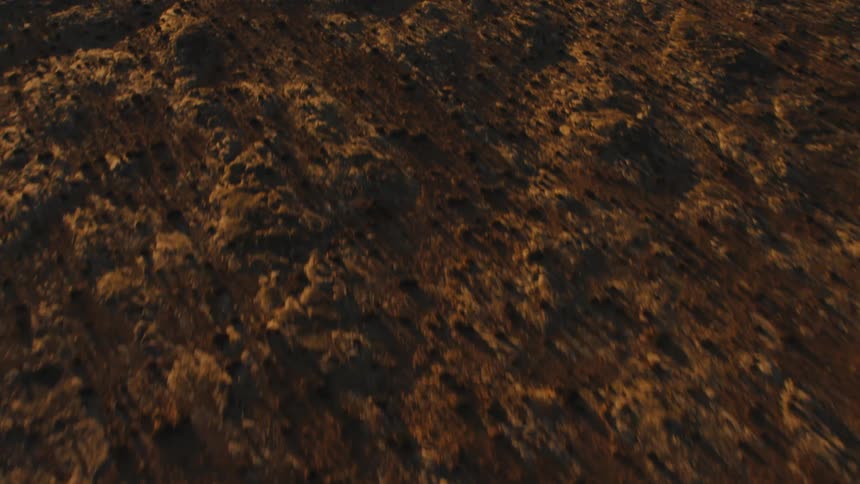 Aerial view of a field