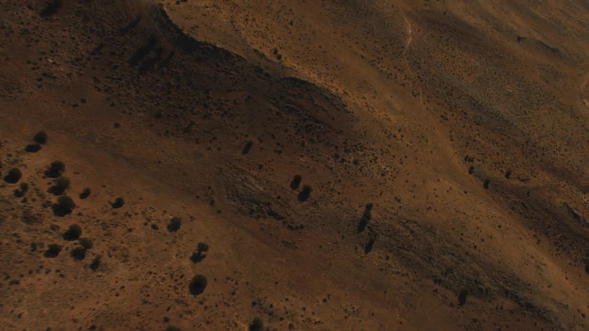 Aerial view of bushes and shrubs in the badlands desert