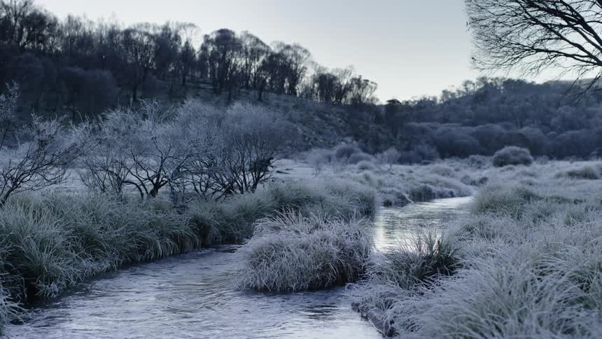 Small creek at sunset