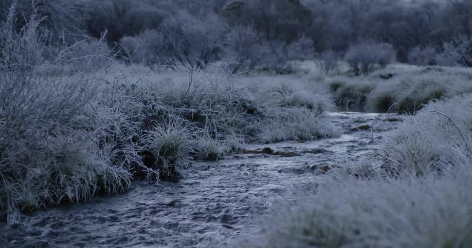 Small creek flowing on a field filled with shrubs and bushes