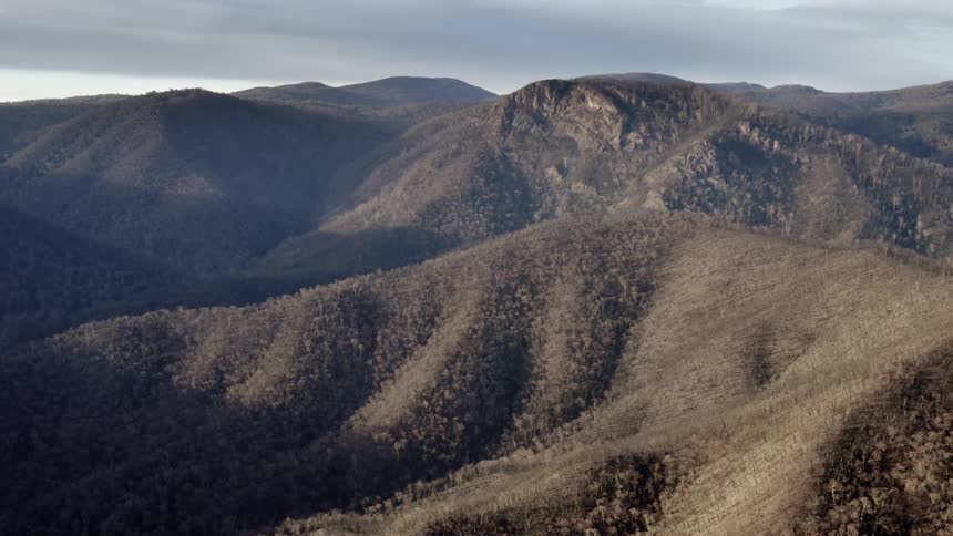 A forest blankets the slopes of a hilly area