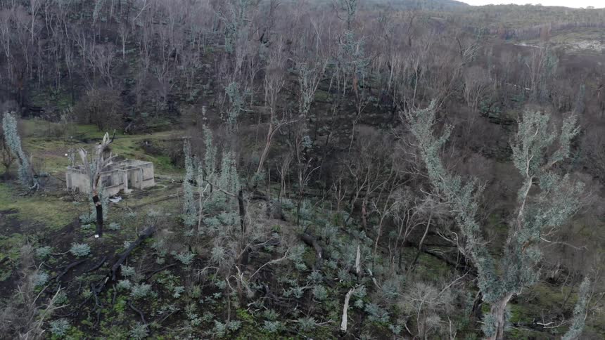 The house sits on the hill in the forest