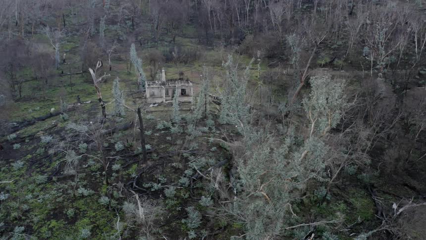 An abandoned building lies in an area with dense trees around it