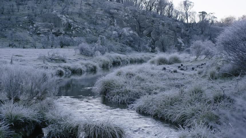 The small stream runs through the frozen area
