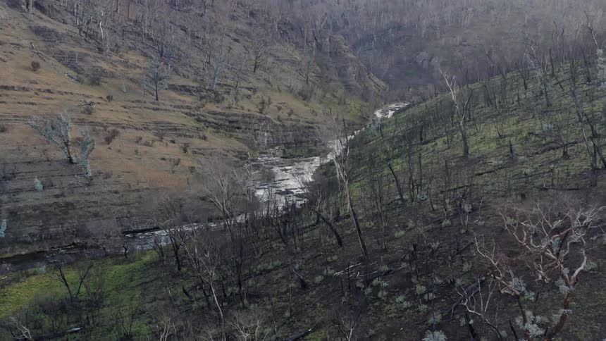 Bare leafless trees occupy slopes bordering narrow stream