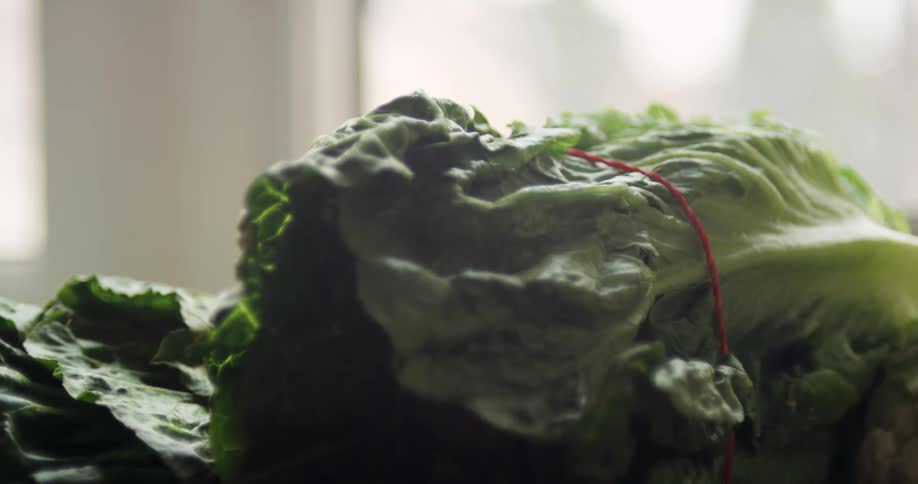 A person lifts a bundle from a stack of lettuce as sunlight shines in through the window
