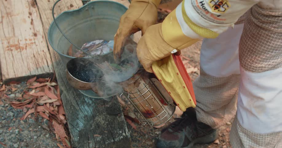 A beekeeper prepares their smoker