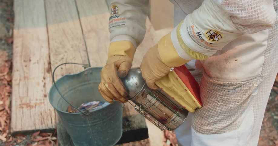Beekeeper prepares their smoker