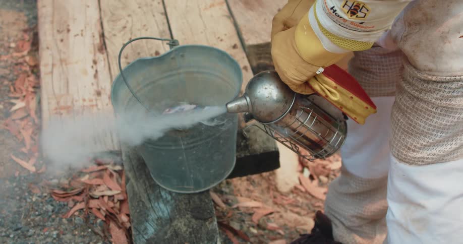 A beekeeper testing smoker