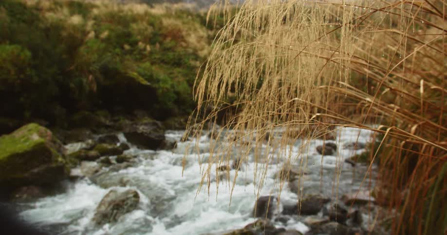 The water flows rapidly over the rocks