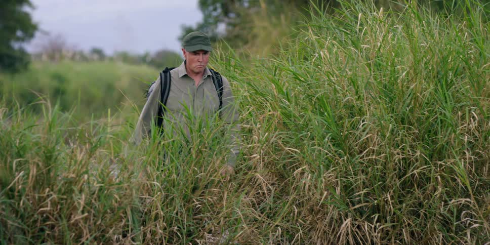 A man is hiking through some tall grass