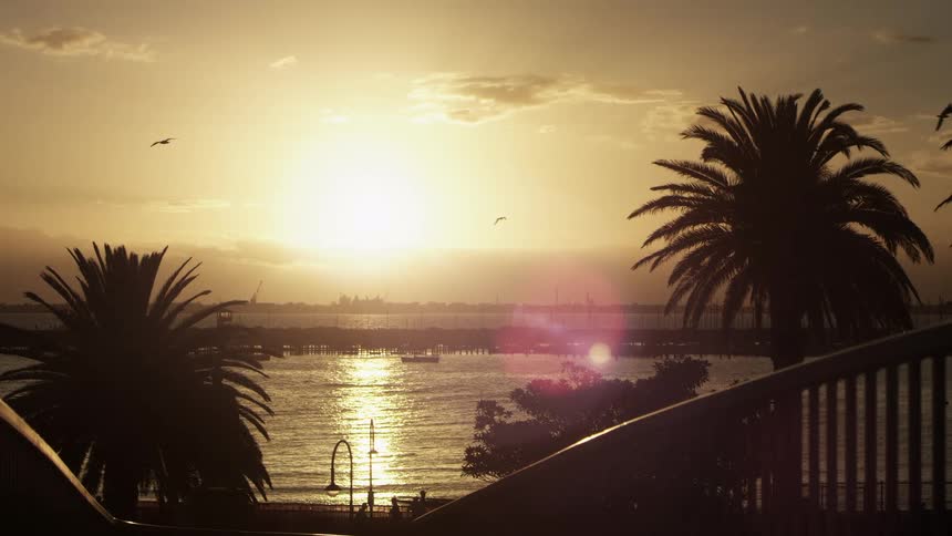 The low sun shining down on a waterfront as birds fly above it and people walk across
