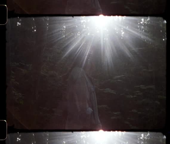 A person stands in a forest