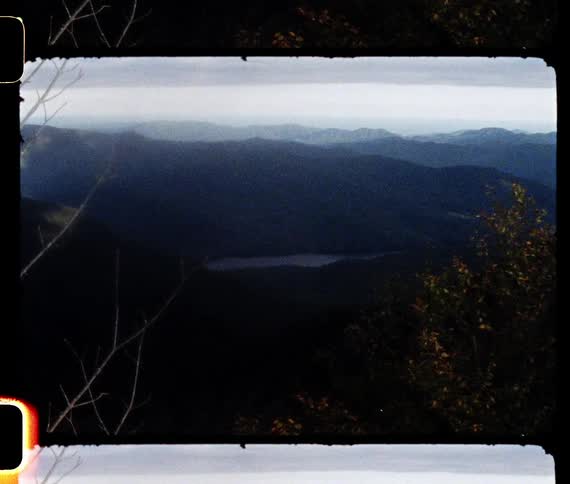 Leafless branches and other vegetation are backed by fog obscured mountainous terrain