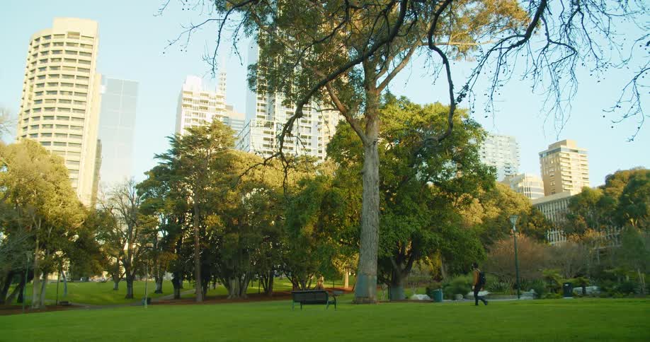 A man walks through a green space in a park in a metropolis during the day