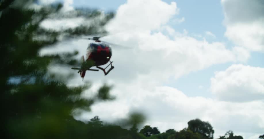 A red helicopter lowers toward the ground as if to land behind tree branches on a bright blue sky day