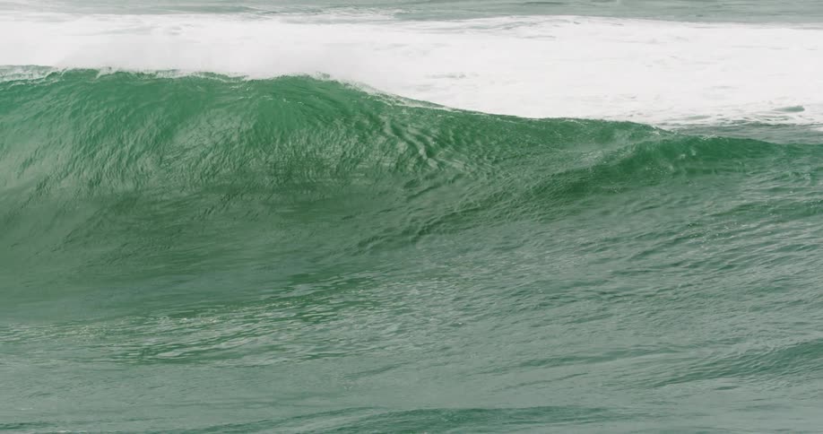 Surfers glide over the wave