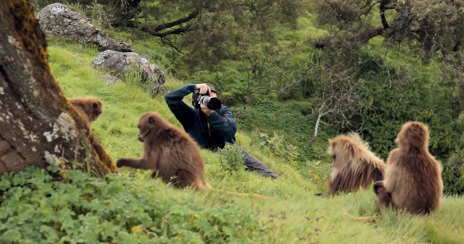 A man is photographing wildlife while sitting