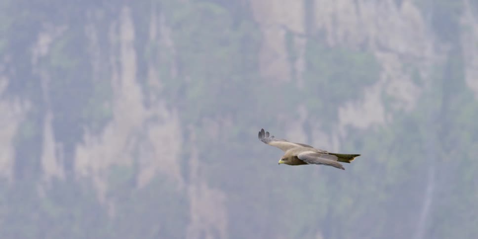 Ethiopia