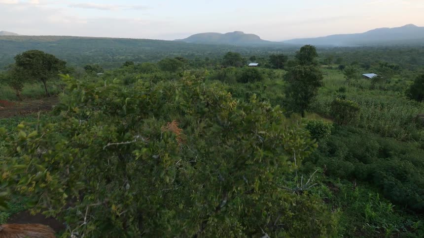 Ethiopia