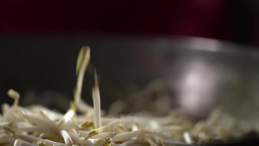 Bean sprouts falling in to a wok