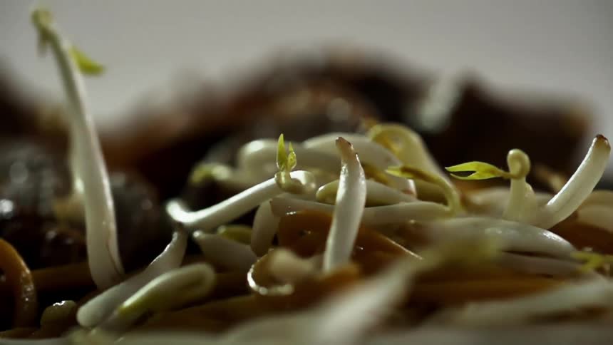 Bean sprouts falling onto a plate of noodles and other foods