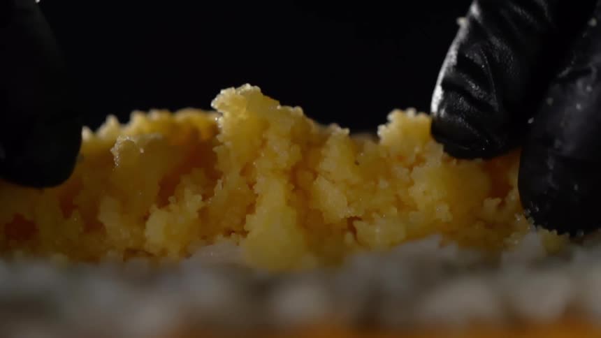 A person with black gloves touching a yellow substance that looks like food