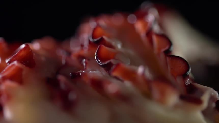 Thinly sliced food with scalloped edges