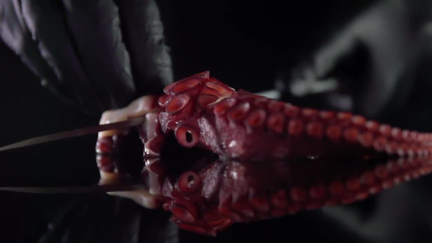 Man cuts and slices an octopus with a kitchen knife over a reflective surface