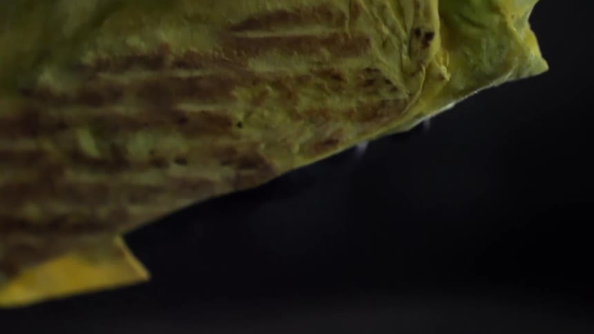 Chef with black latex gloves picks up a tortilla wrap