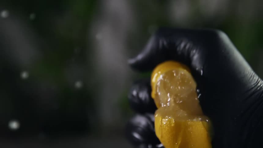 Chef wearing black latex gloves squeezes a lemon until it squirts juice