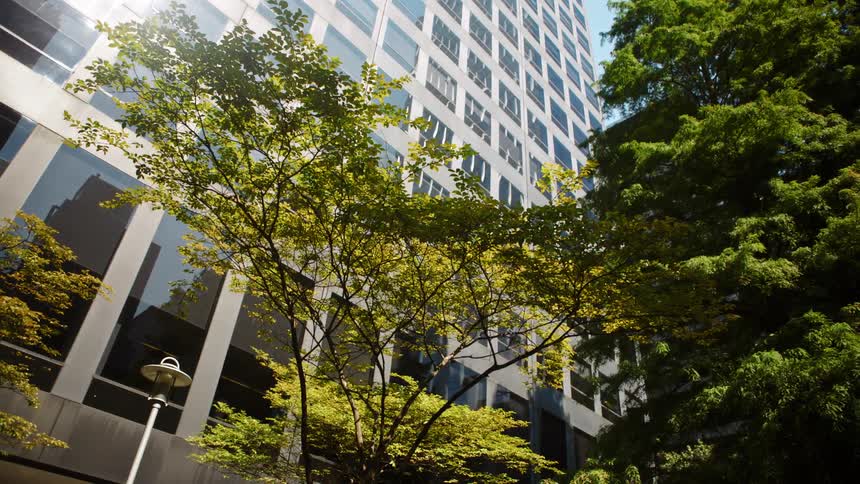 Trees sway gently in the wind in front of a tall building