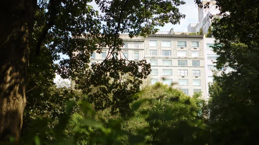 Trees sit near the apartment building