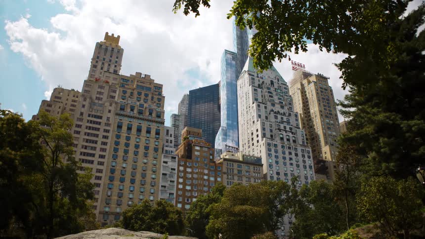 Trees grow near skyscrapers in a large city